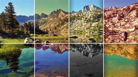 How to Enhance Your Photos with [Editing App] Filters