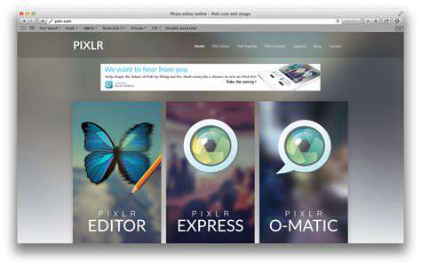 Free Graphic Design Software: Top Options for Beginners