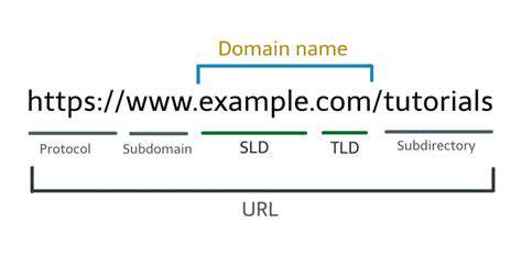 Understanding HTTP and How the Web Works